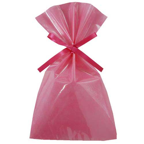 ソフトバッグクリア 2穴リボン巾着 S4 ローズピンク画像