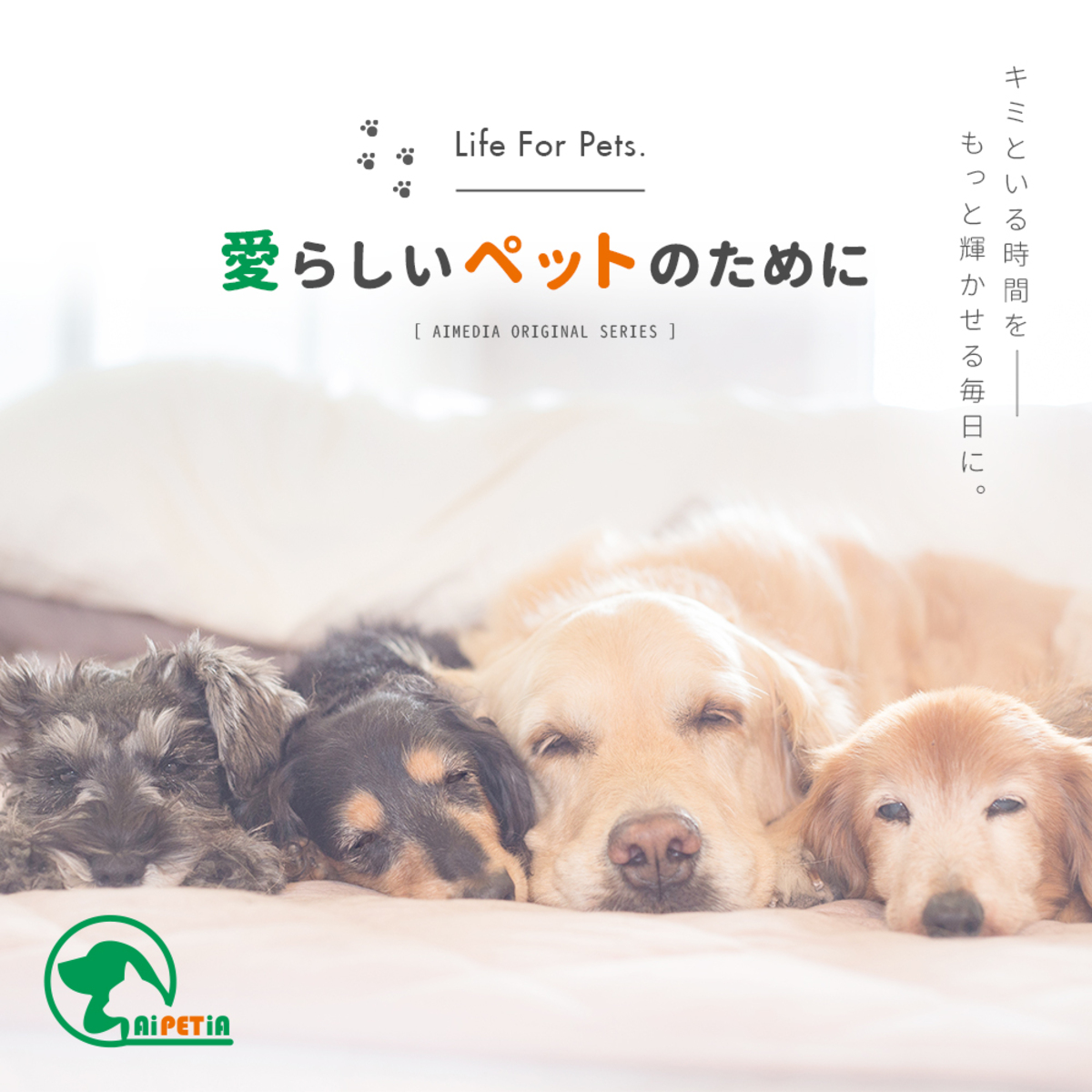 ペットベット　ふわふわベッド　ペット用　ストライプ柄 ストライプ模様が鮮やかな側面から見たふわふわのベッド