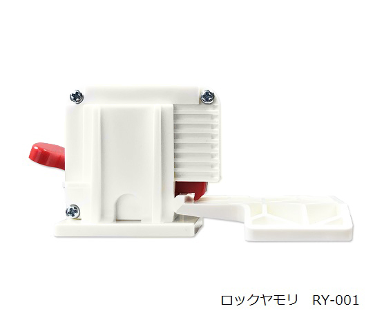 ロックヤモリ