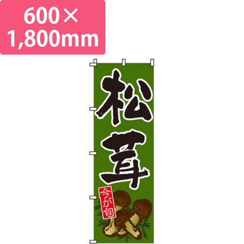 松茸深緑画像
