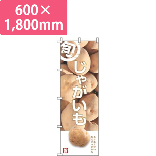 じゃがいも旬写真画像