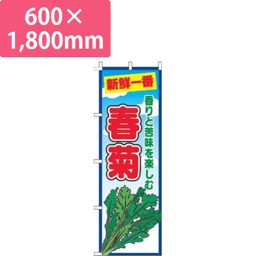春菊青空丸画像