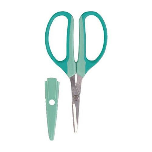 ｱﾙｽ ｸﾗﾌﾄﾁｮｷ(生花･ｱﾚﾝｼﾞﾒﾝﾄ用) 1個画像