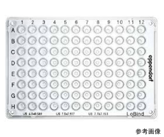 ツインテクPCRプレート384LoBind, スカート カラーレス 1式（25枚入）画像