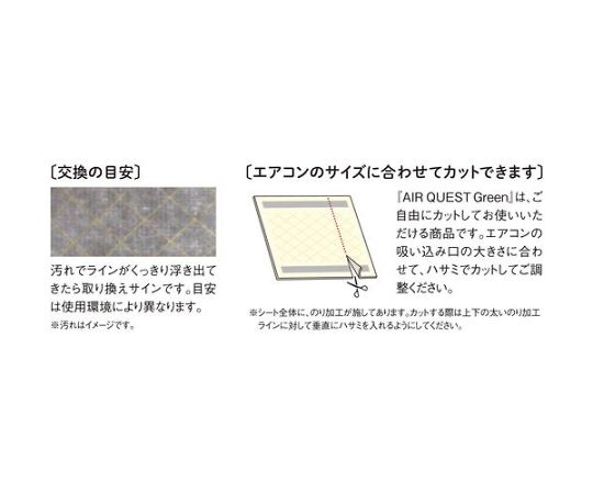 エアークエストグリーン 38×80 2枚入 緑のパッケージが正面を向いている状態で、上部に窓があり中身が見える様子。