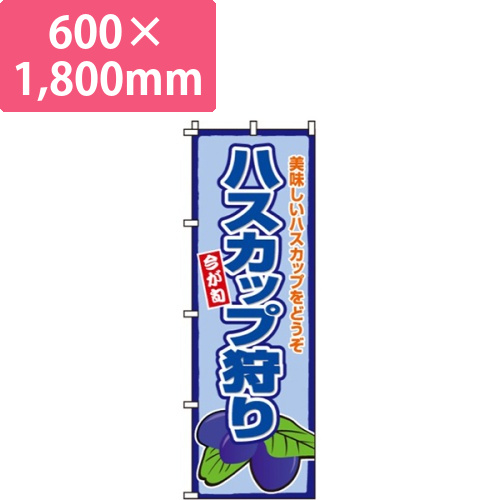 ハスカップ狩り画像