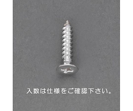 4 x 25mm 皿頭ﾀｯﾋﾟﾝｸﾞﾋﾞｽ(ｽﾃﾝﾚｽ製/20本)