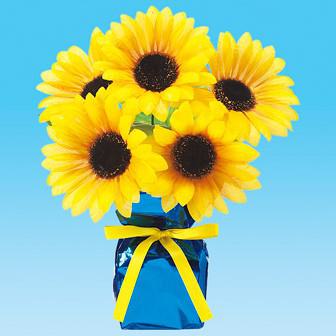 ひまわりニューローコストポット画像