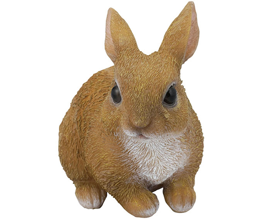 手のりうさぎ画像