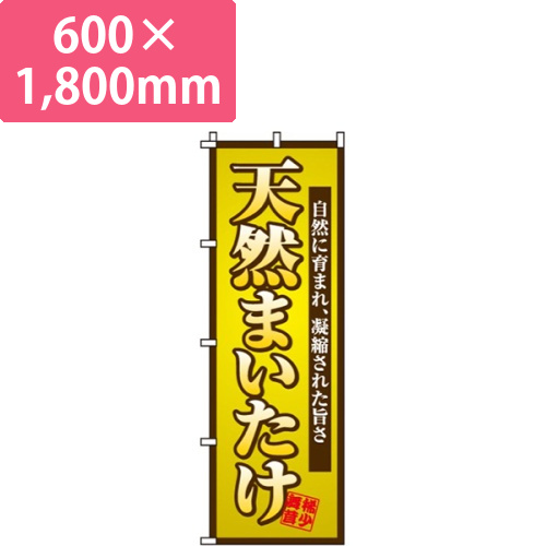 天然まいたけ画像