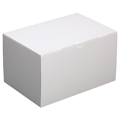 エコ洋生１０５＃５画像