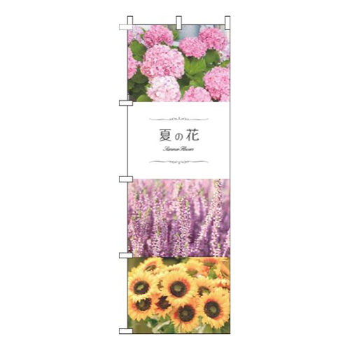 夏の花 写真画像