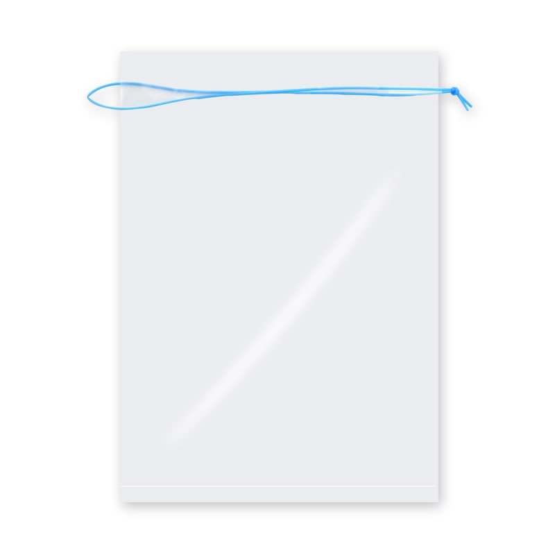 金魚ポリ　Ｎｏ．３画像