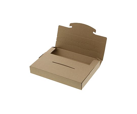 ダンボール　ラクポスBOX　195-30　10枚