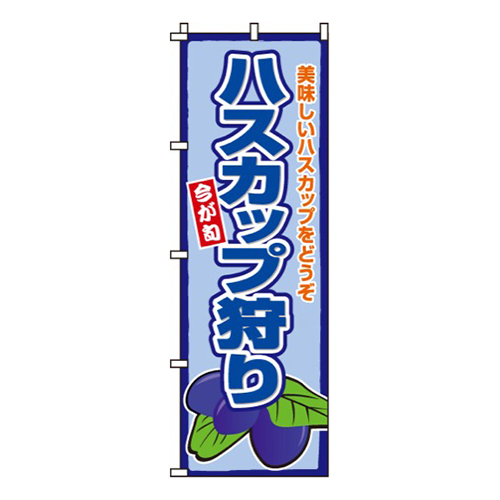 ハスカップ狩り画像