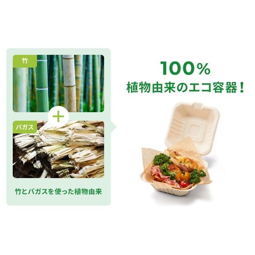 弁当容器 BBランチ 180-130(5枚入) パックスタイル 透明なパッケージに収められた5枚の容器が重ねられている様子