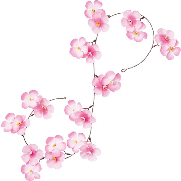 大桜ガーランド画像