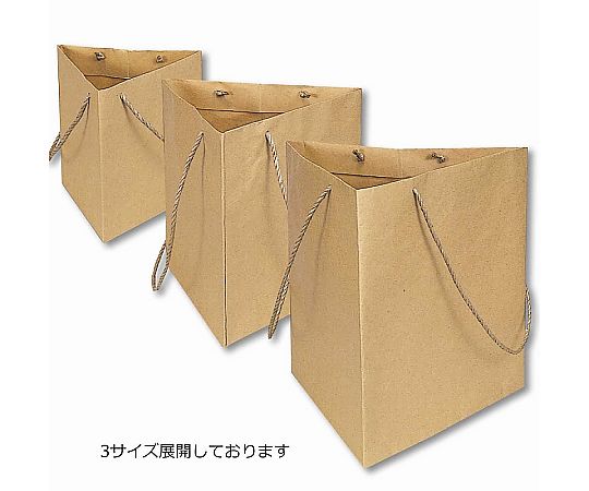HEIKO 紙袋 トライバッグ 未晒 NO.2 10枚 透明な袋に入った未晒しの紙袋が積み重ねられ、上部が少し開いている状態。