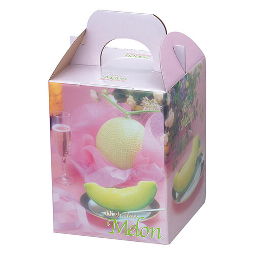 ブリリアントメロン１ヶ入画像