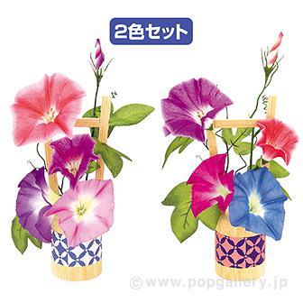 清涼朝顔スタンドセット（2個1セット）画像