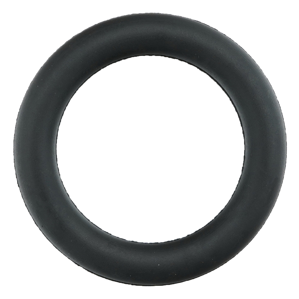 フッ素ゴムOリング（フロロプラス（TM））画像