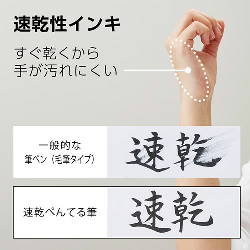 速乾ぺんてる筆　極細　10セット 透明な袋に収められた極細の筆が整然と並んでいる様子