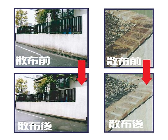 屋外のコケ・カビ除去用　アウトドアクリーナー　5L 容器の取っ手側から撮影された5リットルのクリーナー、ラベルが明瞭に見える状態。