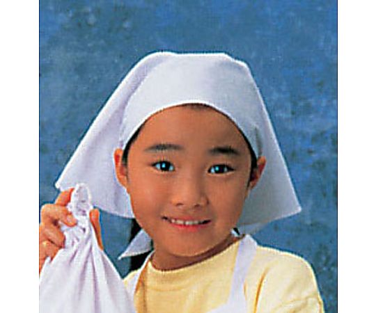 三角布(ホワイト)画像