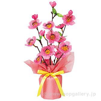 桃バリューラッピングポット画像