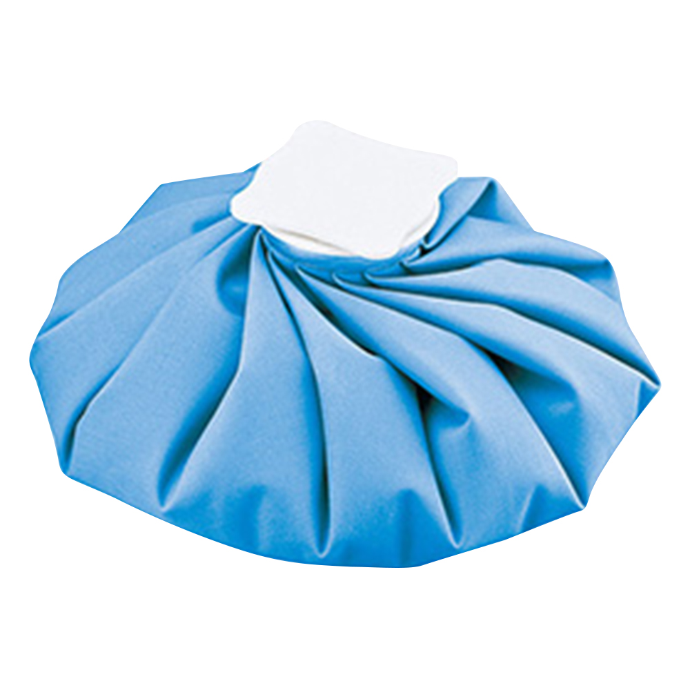 ナビアイスバッグ　ブルー　L画像