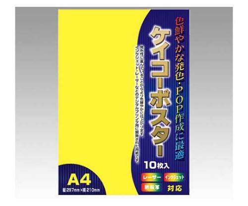 OA対応ケイコーポスター レモン 1冊（10枚入）画像