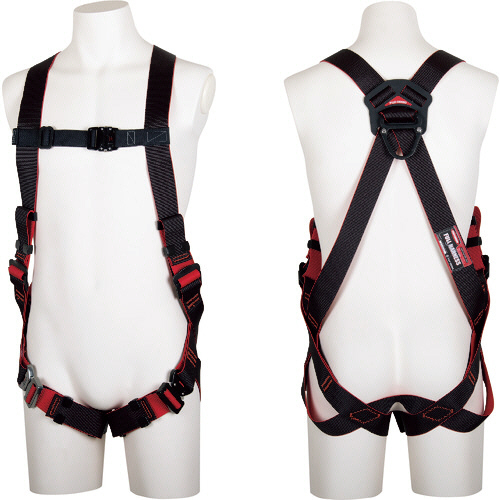 ﾂﾖﾛﾝ ﾚｳﾞｫﾊｰﾈｽ 黒/赤 Lｻｲｽﾞ 1本画像