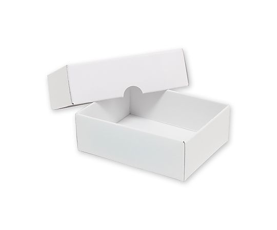HEIKO 箱 デラックス白無地箱(エスプリ) アクセサリーL用 A-2 10枚入 白い無地の箱が立てられ、横に並んでいる様子