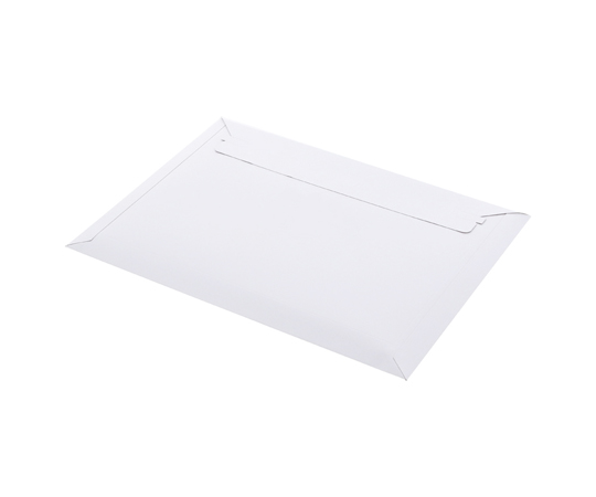 宅配レターケース A4L 白 25枚入画像