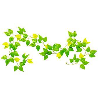 若葉ローコストガーランド画像