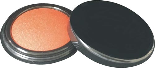 サンビー速乾朱肉５０号画像