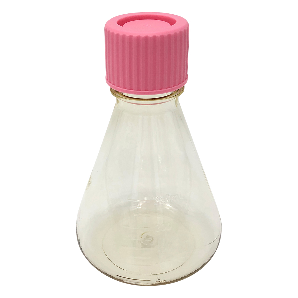 ビオラモディスポ滅菌三角フラスコ　250mL　ノーマルキャップ　12個入