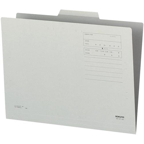 １／３カットフォルダーカラー第２見出しＡ４灰１０枚画像