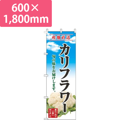 カリフラワー青空明画像