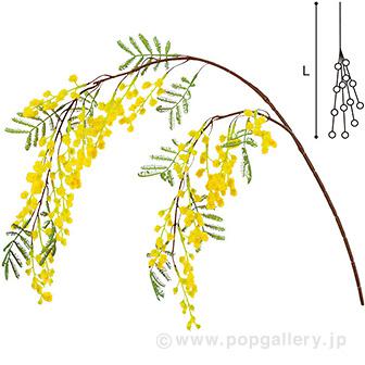 ミモザハンギング画像