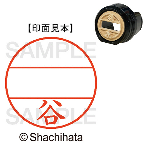 ﾃﾞｰﾀｰﾈｰﾑEX12号 ﾏｽﾀｰ部(印面) 既製 谷 1個画像