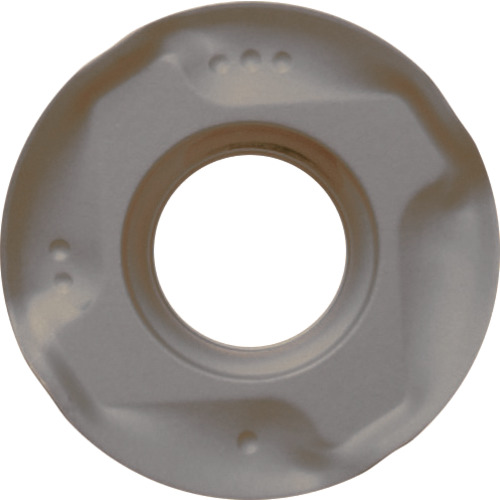 ﾐｰﾘﾝｸﾞ用ﾁｯﾌﾟ PR1510 1個画像