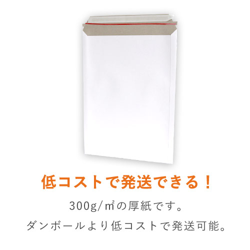 宅配80サイズ・定形外郵便対応！A3サイズのレターケース