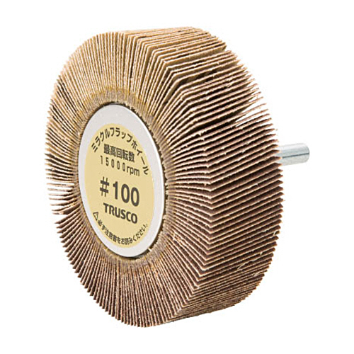 ﾐﾗｸﾙﾌﾗｯﾌﾟﾎｲｰﾙ(斜め植えﾀｲﾌﾟ)(軸径φ6mm) #100 1箱(5個)画像