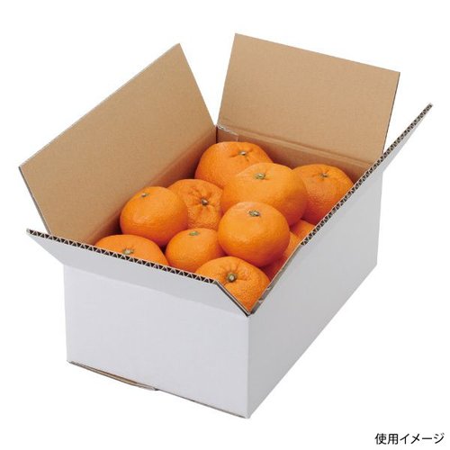 ギフト箱 L-2231 A式みかん白無地3㎏ ヤマニパッケージ画像