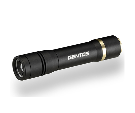 REXEEDシリーズ LEDフラッシュライト USB充電式 900ルーメン