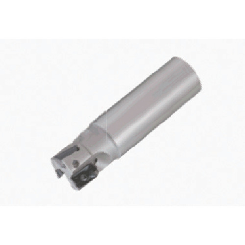 TAC柄付ﾌﾗｲｽ 1個画像