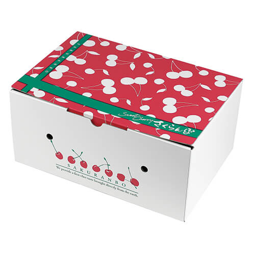 さくらんぼ　２段ＢＯＸ画像