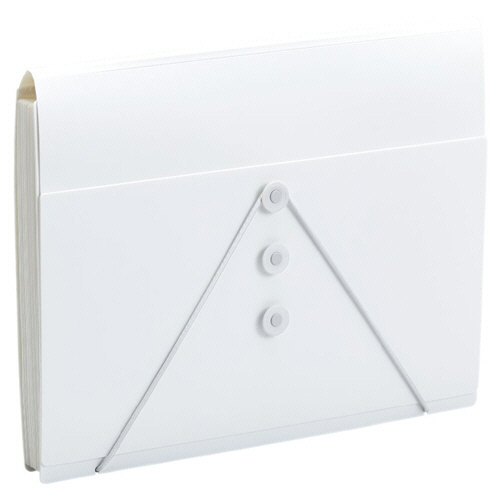 ｻｸｯと整理!ﾄﾞｷｭﾒﾝﾄﾌｧｲﾙ(ﾌﾀ付ﾀｲﾌﾟ) A4 13ﾎﾟｹｯﾄ 白 1冊