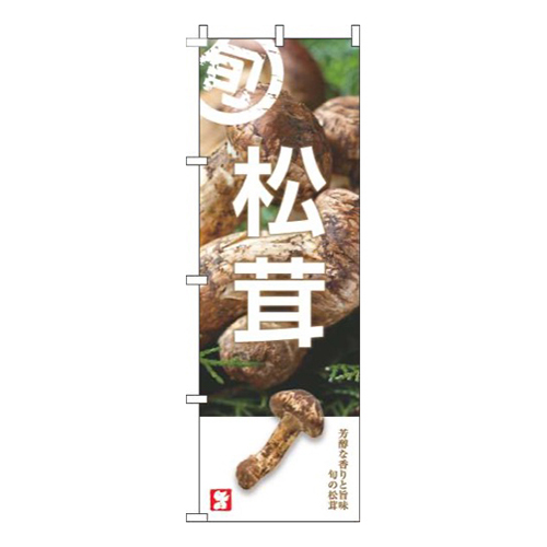 松茸旬写真画像